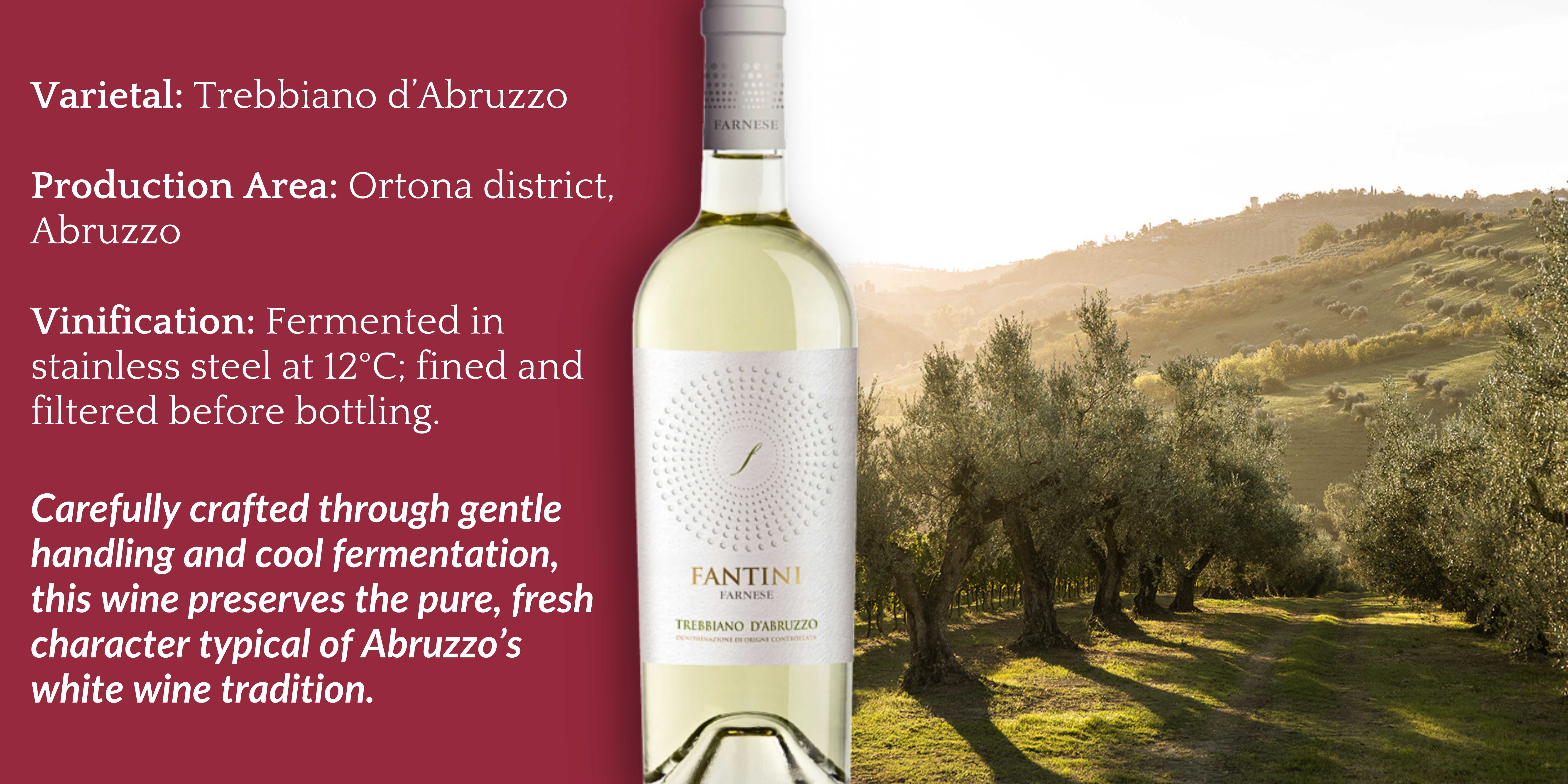 https://api.chgroup.ca/storage/media/html_dynamic_elements/5._trebbiano_dabruzzo1.jpg_alt